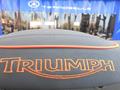sella Triumph scritta ricamata arancione